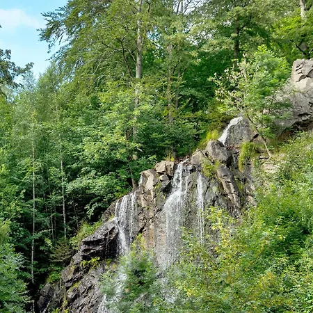 Διαμέρισμα Kauzennest Bad Harzburg