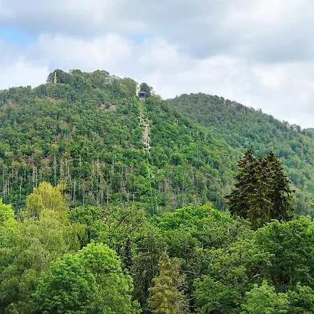 Kauzennest * Bad Harzburg