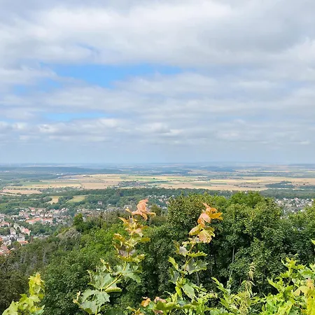 Kauzennest *